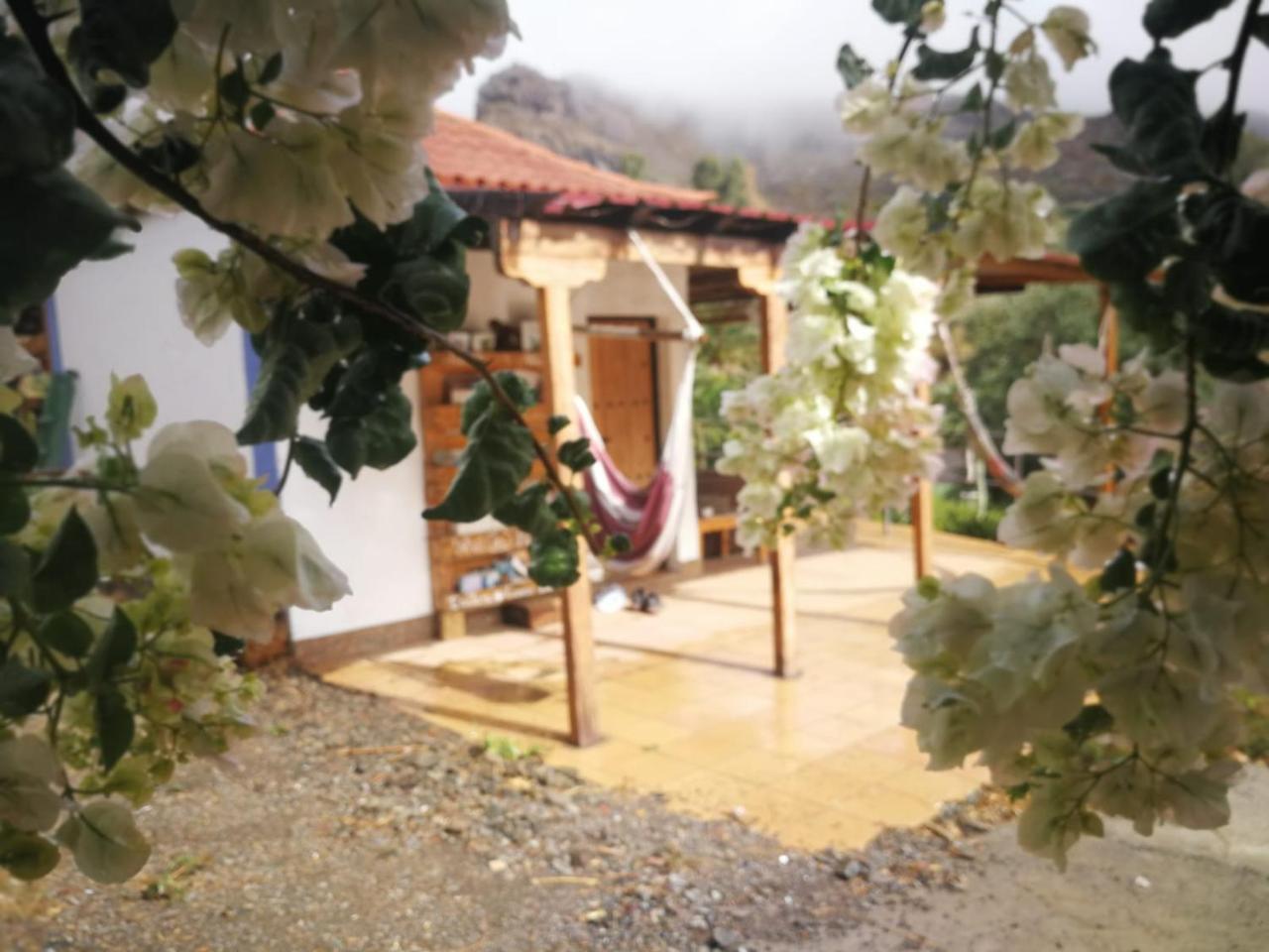 Ecotara Canary Islands Pensionat Fátaga Exteriör bild