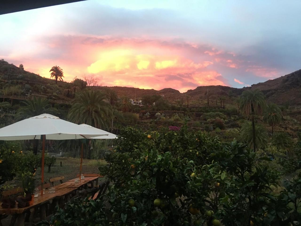 Ecotara Canary Islands Pensionat Fátaga Exteriör bild